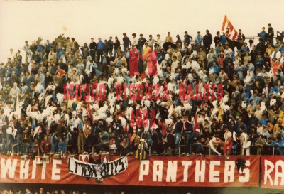 1980-81 Vicenza-Verona