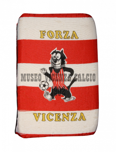 Cuscinetto stadio forza Vicenza