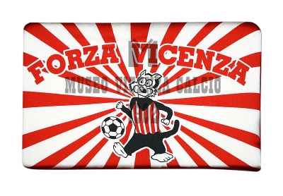 Cuscinetto stadio forza Vicenza