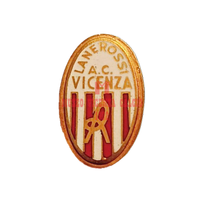 Distintivo in oro del 1966