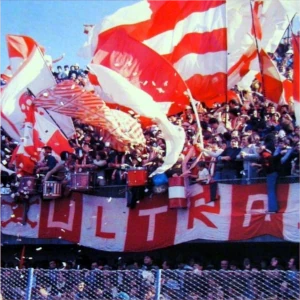 Tifosi